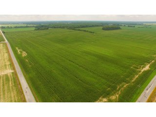 TRACT 83 - ILLINOIS LAND AUCTION - 4,810+/- ACRES OFFERED IN 85 TRACTS IN FRANKLIN, WILLIAMSON, HAMILTON & SALINE COUNTIES, ILLINOIS